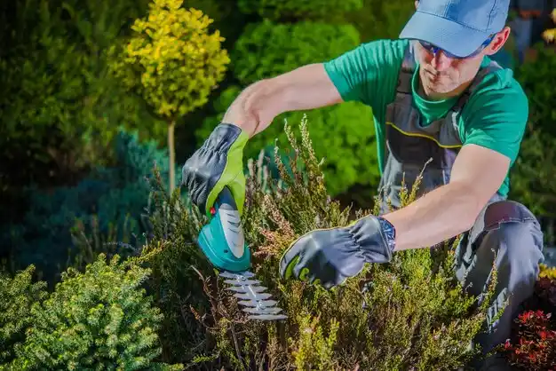 landscaping services South Amherst